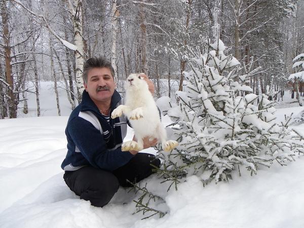 День сурка по-ухтински